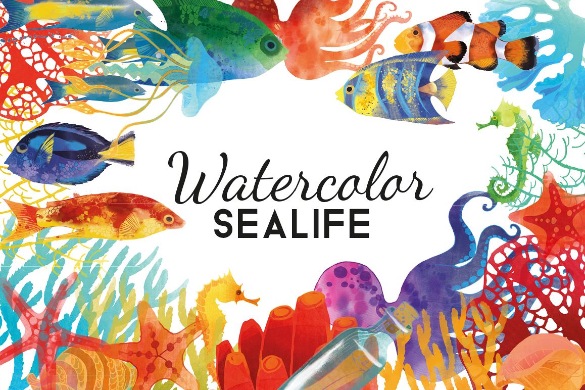 Sea Life example image 1