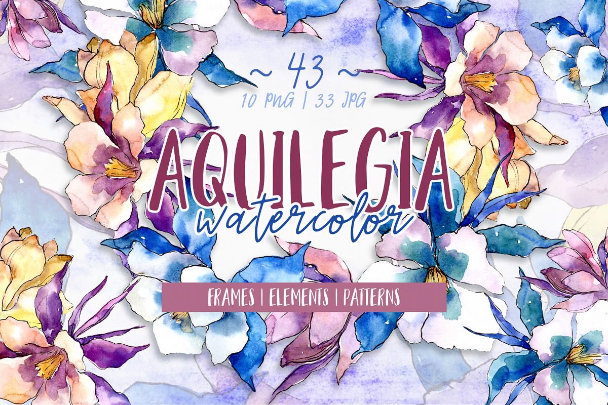 Beautiful aquilegia PNG watercolor set example image 1