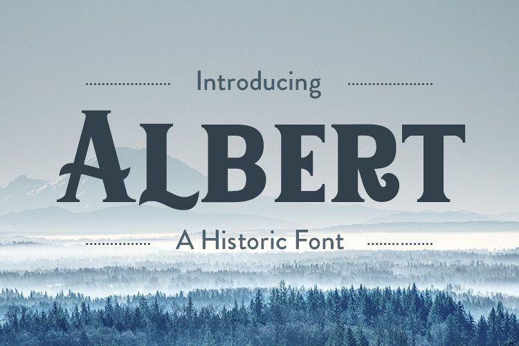 Albert example image 1