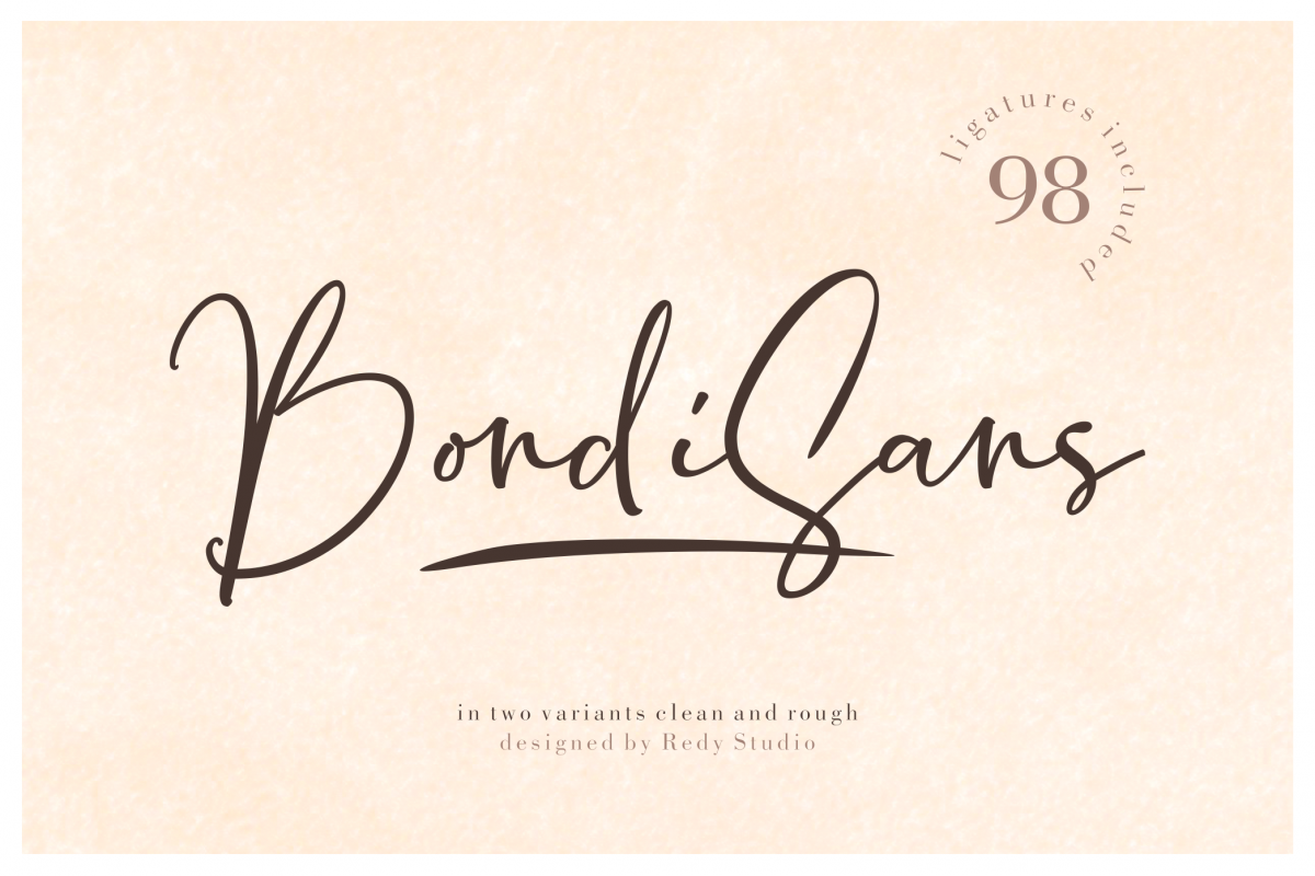 2Variants | BondiSans | Clean&Rough example image 1