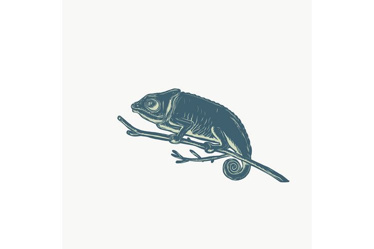 Chameleon On Branch Scratchboard example image 1