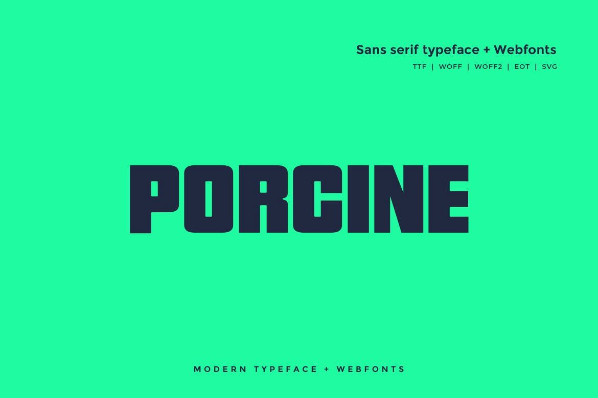 Porcine - Modern typeface with WebFont example image 1