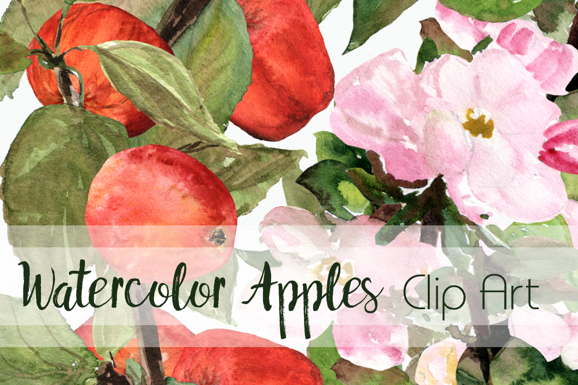 Watercolor Apples ClipArt Collection example image 1
