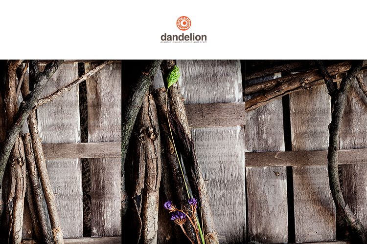 dry sticks on wood example image 1