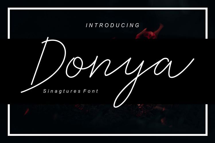 Donya example image 1