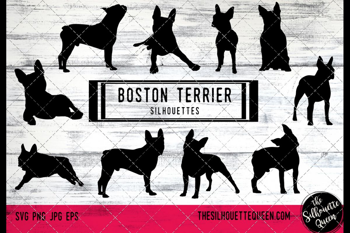 Download Boston Terrier Dog svg files cricut, silhouette clip art, Ve (138854) | Illustrations | Design ...