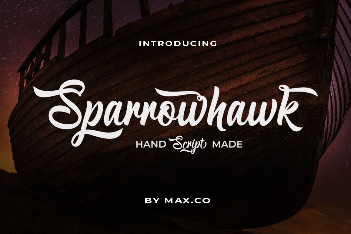 Sparrowhawk Script example image 1