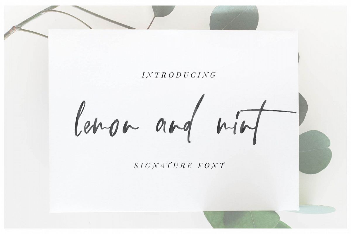 lemon and mint script example image 1