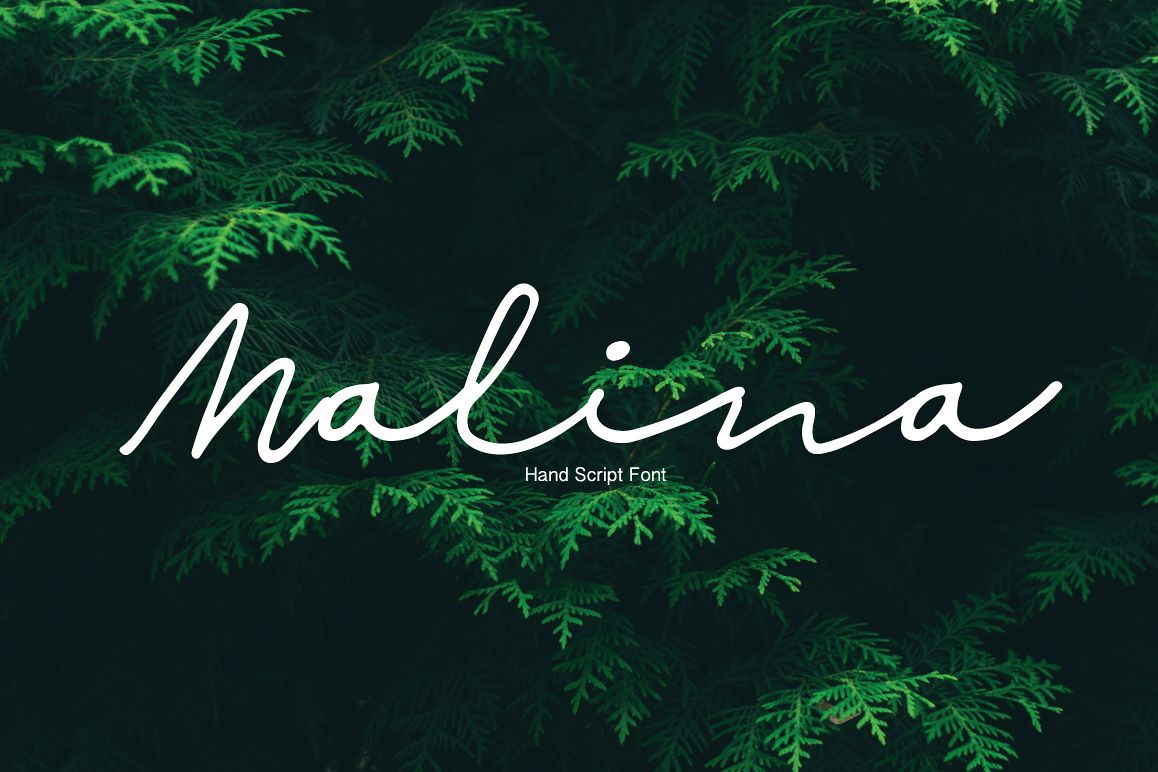 Malina | Script Font example image 1