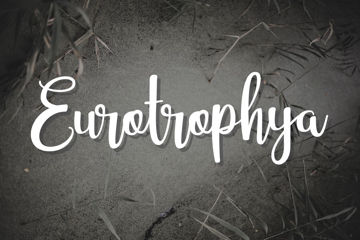 Eurotrophya example image 1