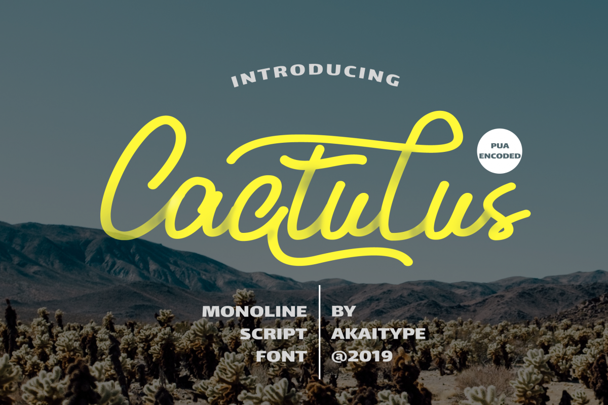 Cactulus example image 1