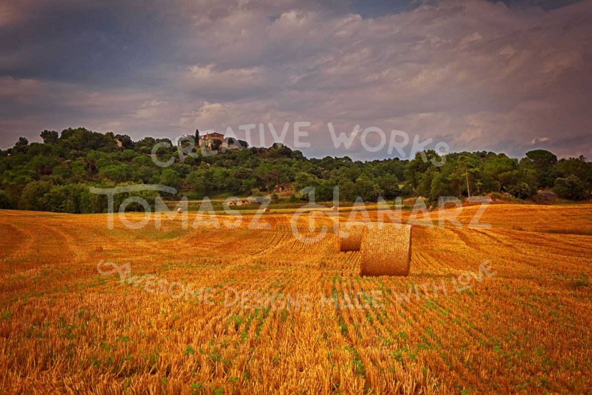 Harvest Field 2 example image 1