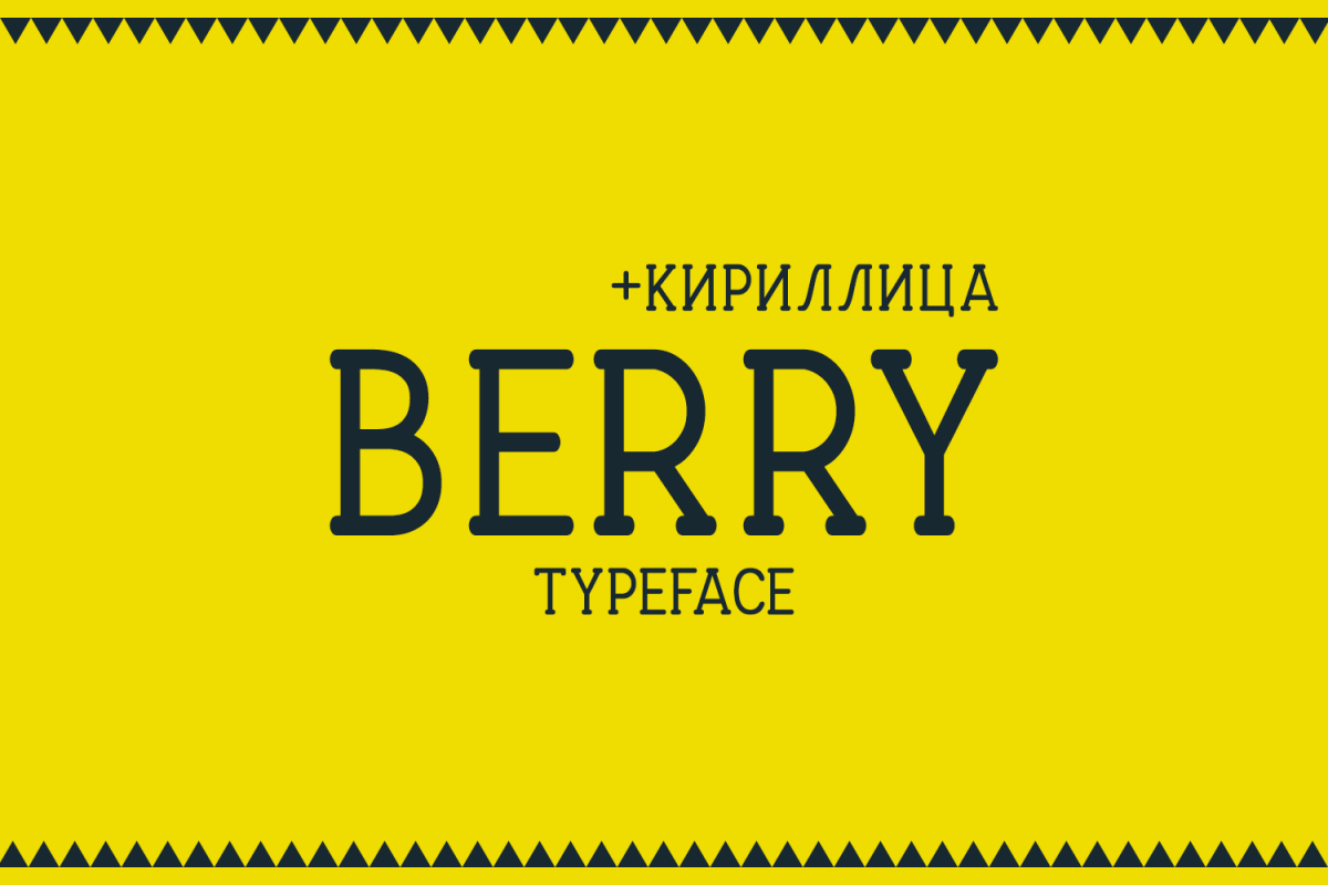 Berry Typeface example image 1