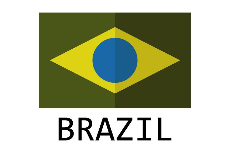 Brazil flag example image 1