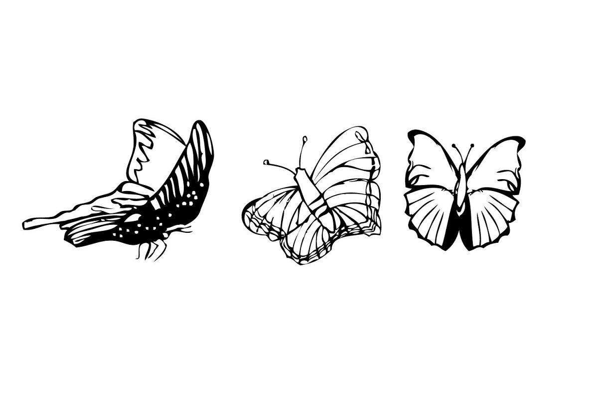 Summer Butterflies, digital Stamp, Print and cut, example image 1