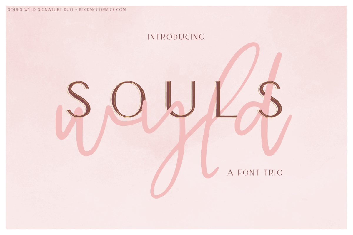 Souls Wyld Signature Script and Sans Font Trio example image 1