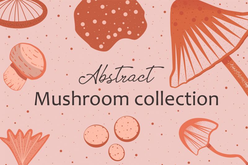 Abstract mushroom collection example image 1