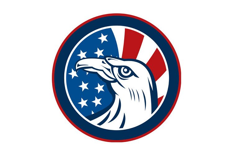 American eagle with stars and stripes flag example image 1