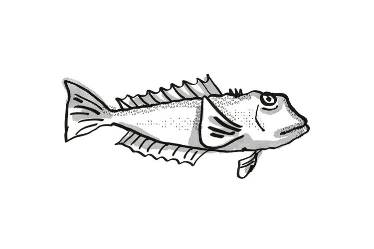 Blue Cod New Zealand Fish Cartoon Retro Drawing example image 1