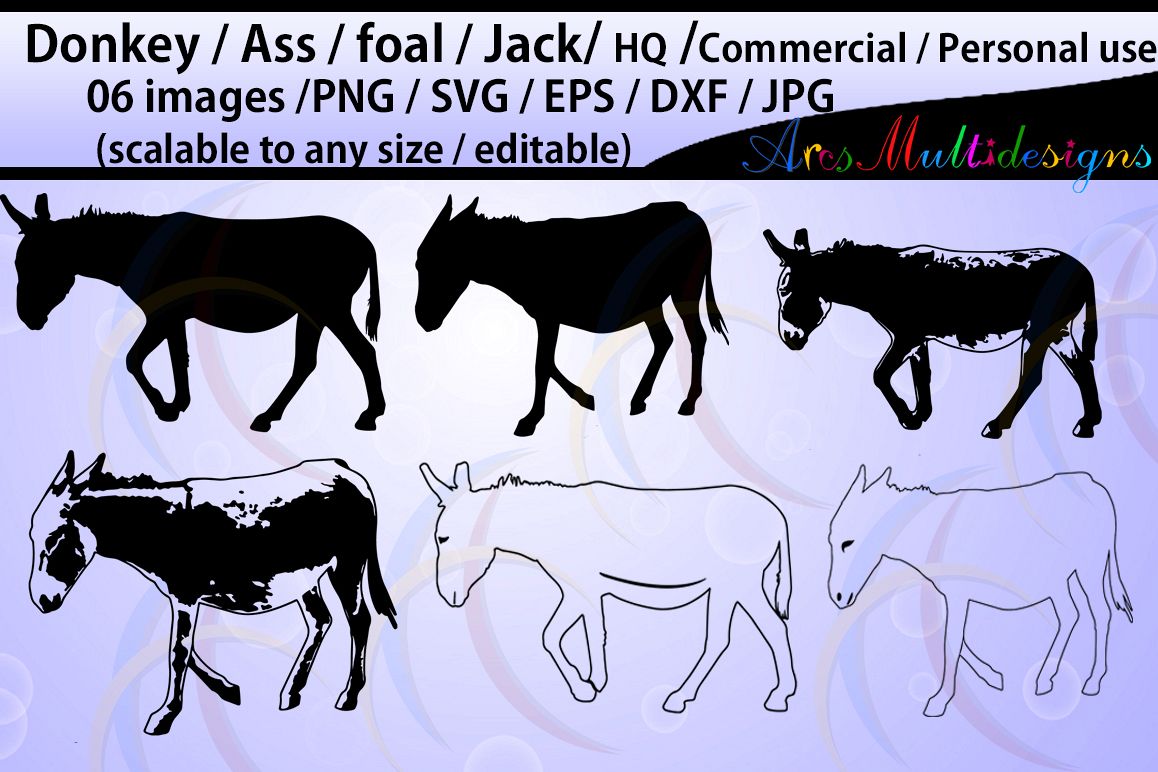 Donkey silhouette / Ass / Foal / Jack / commercial & personal use / cricut,Diy / SVG / Eps / Dxf / Png / Jpg / animal silhouettes / cameo example image 1