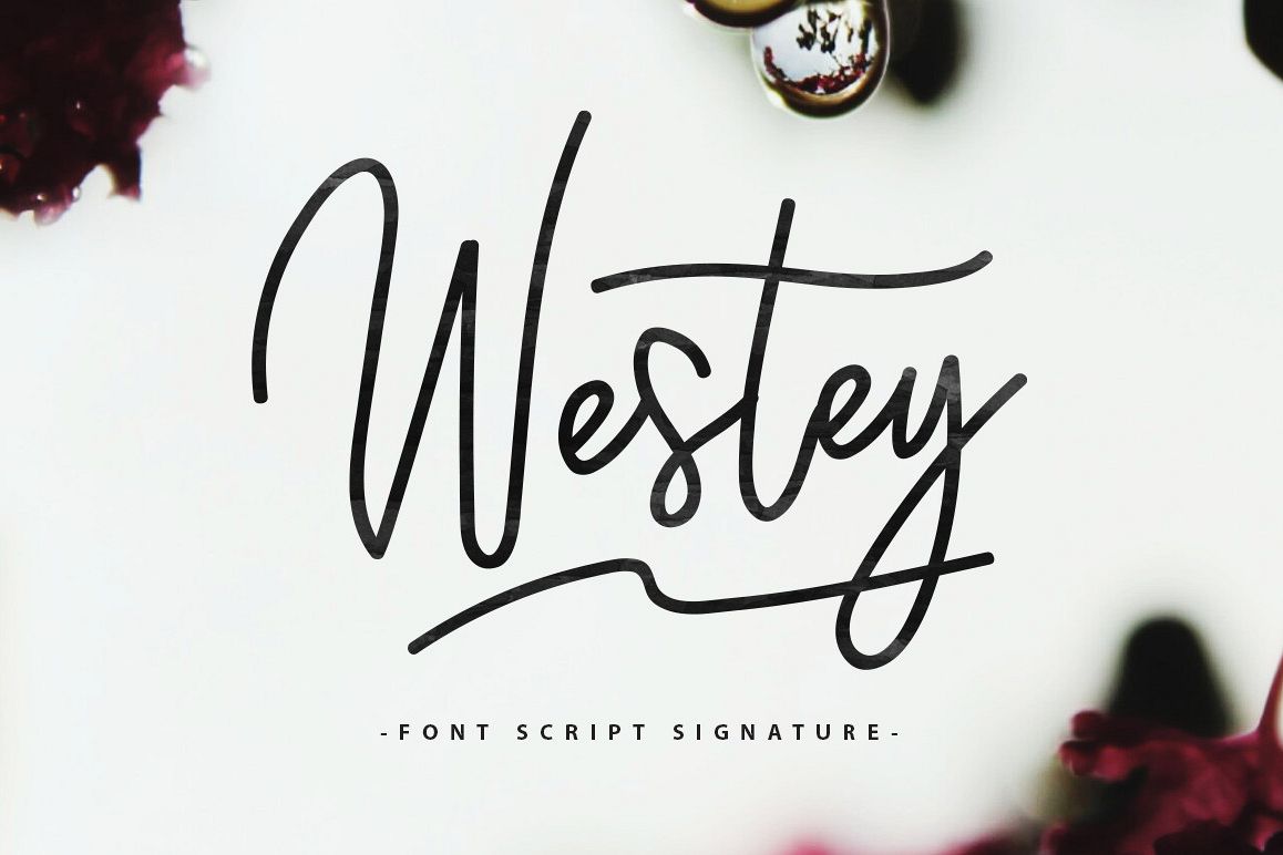 Westey 45% OFF example image 1