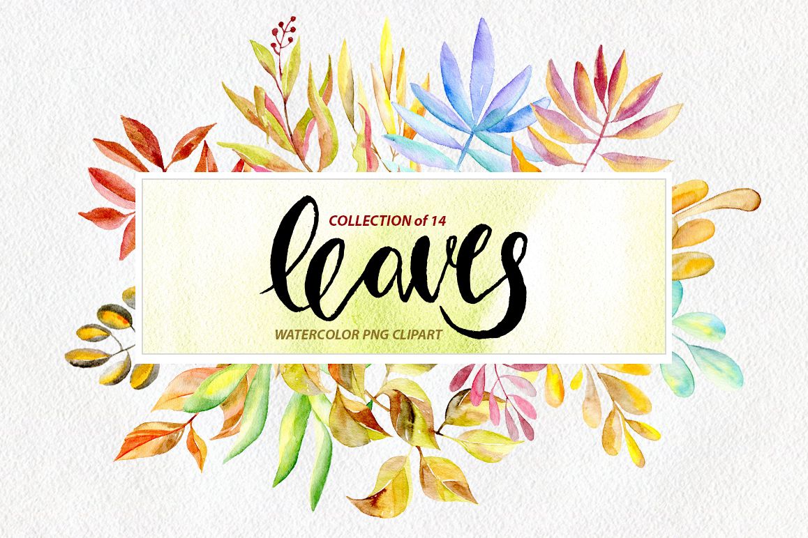 Watercolor leaves, branches png example image 1