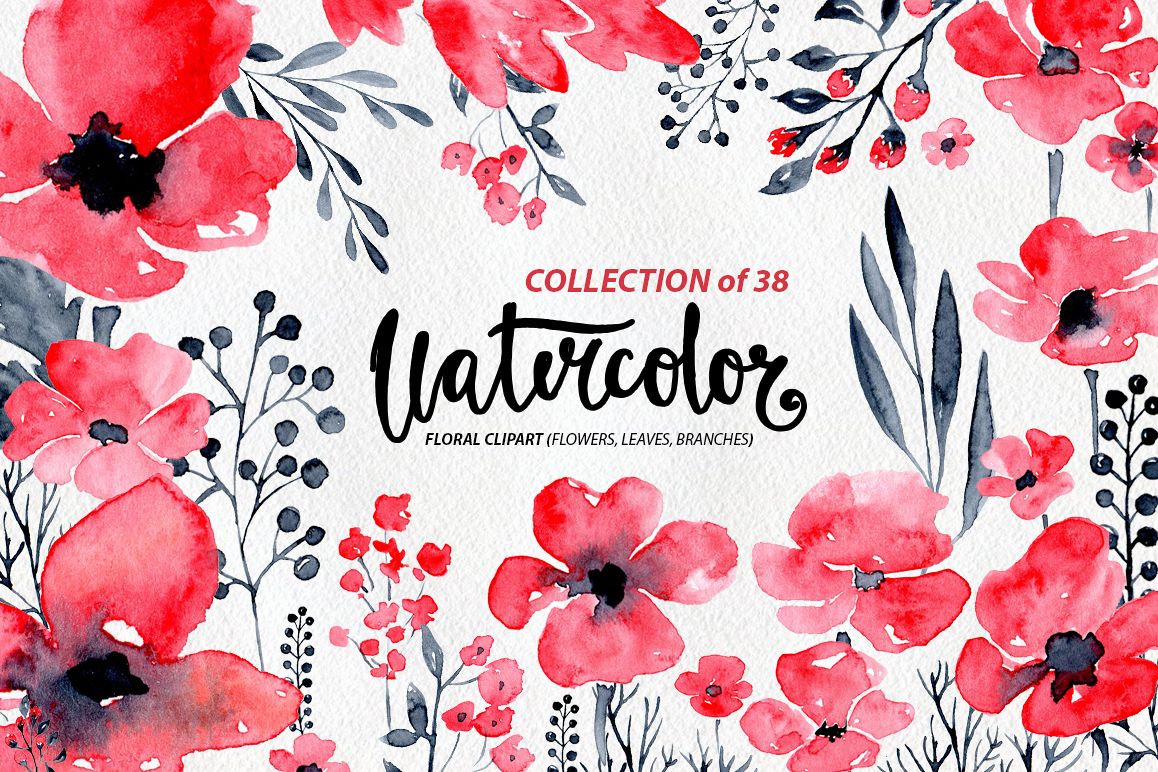 38 Watercolor poppy flowers, leaves example image 1