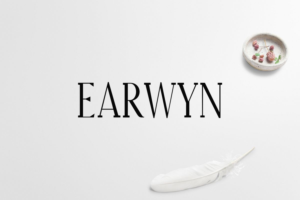 Earywn Serif 3 Font Family Pack example image 1