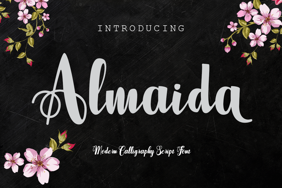 Almaida example image 1