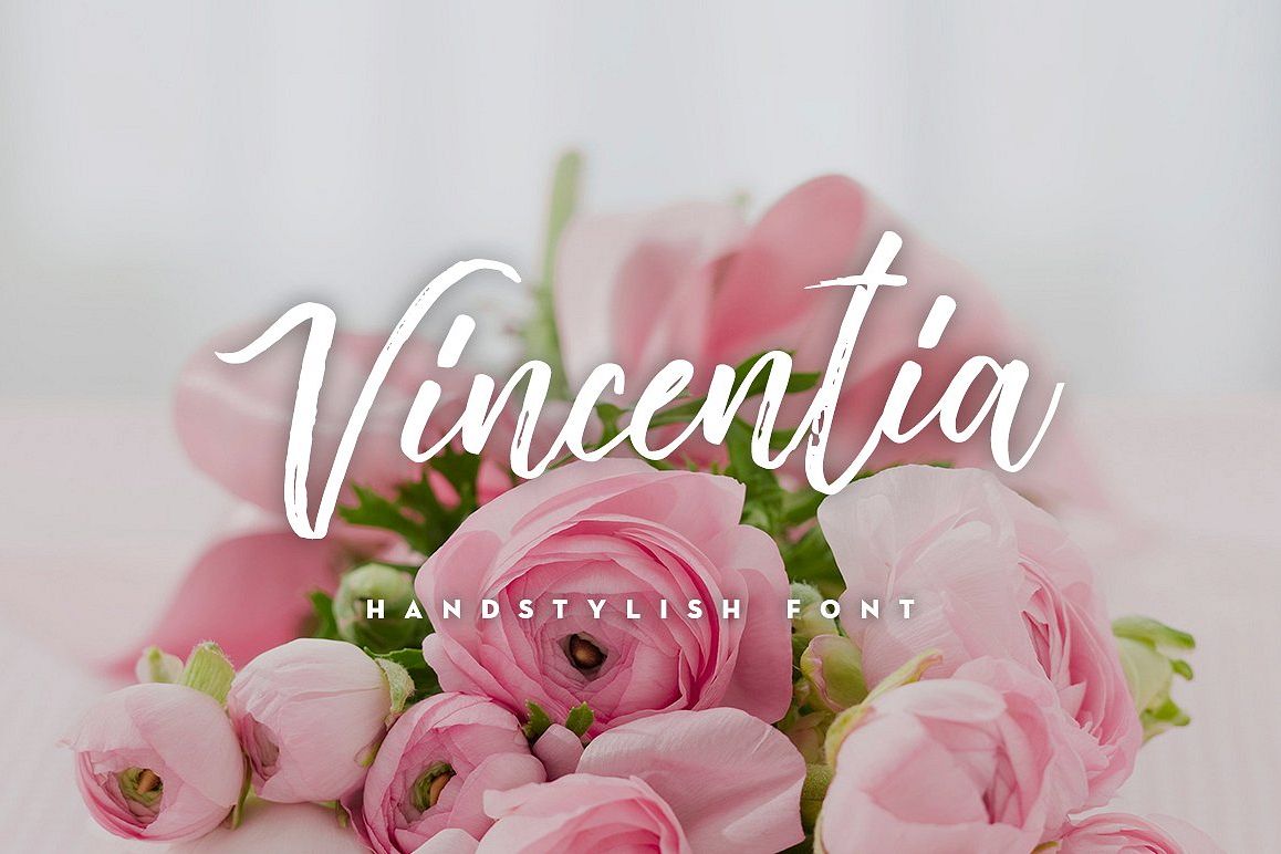 Vincentia Handstylish Font example image 1