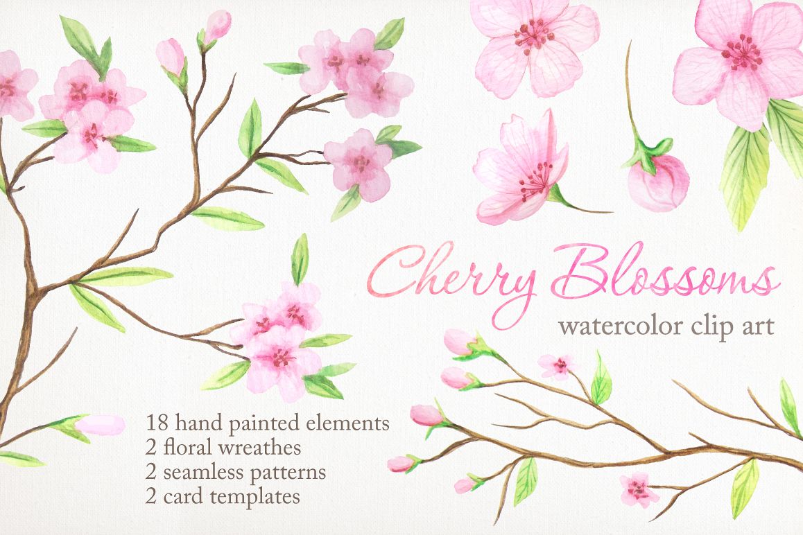 Watercolor Cherry Blossoms example image 1