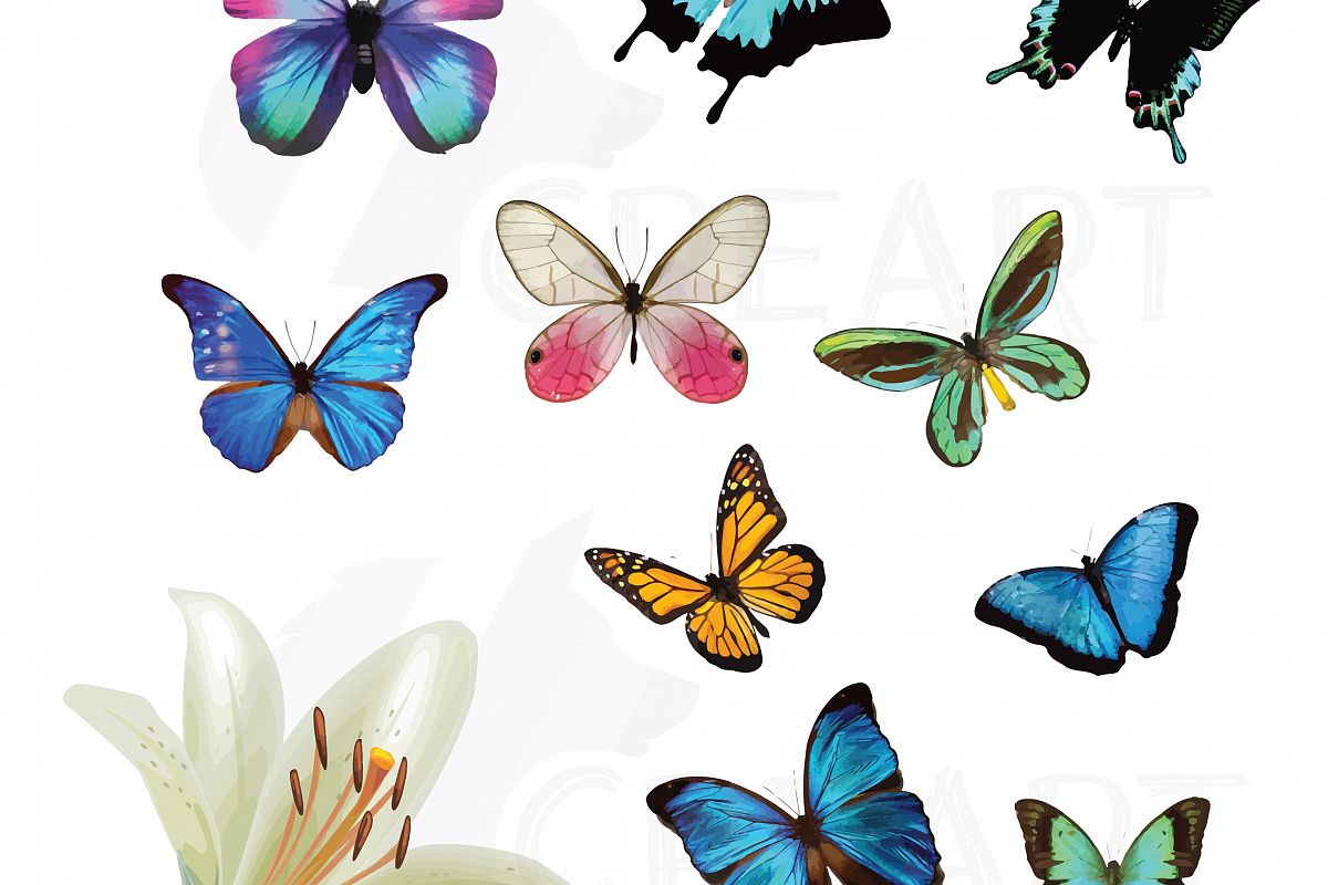 Free Free 262 Butterfly Watercolor Svg SVG PNG EPS DXF File