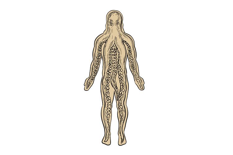 Alien Octopus Inside Human Body Drawing example image 1