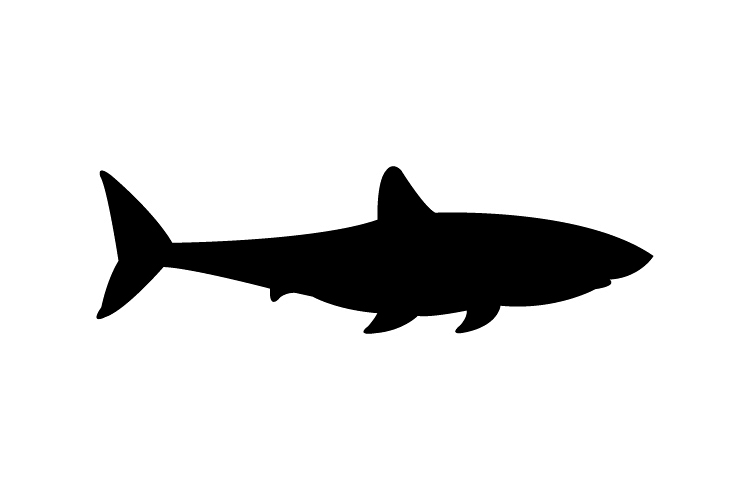 Shark icon example image 1