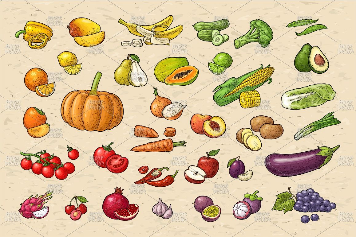 Set vegetables and fruits. Vector color vintage engraving example image 1