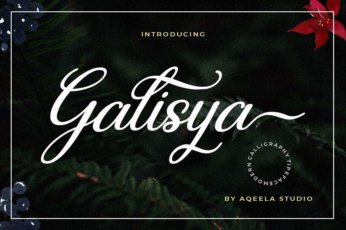 Galisya example image 1