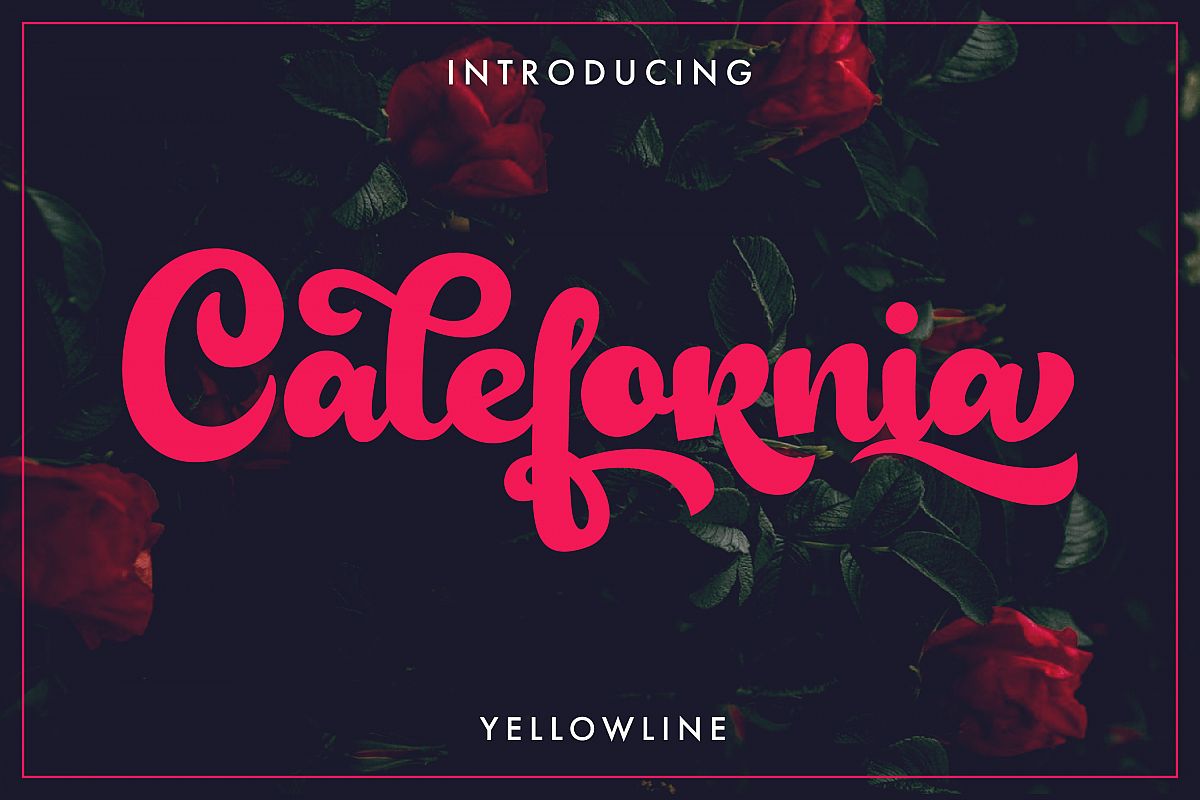 Calefornia Bold Script example image 1