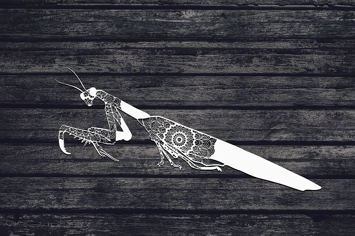 Praying Mantis Svg, Mandala Svg, Insect Svg, Animal Svg example image 1