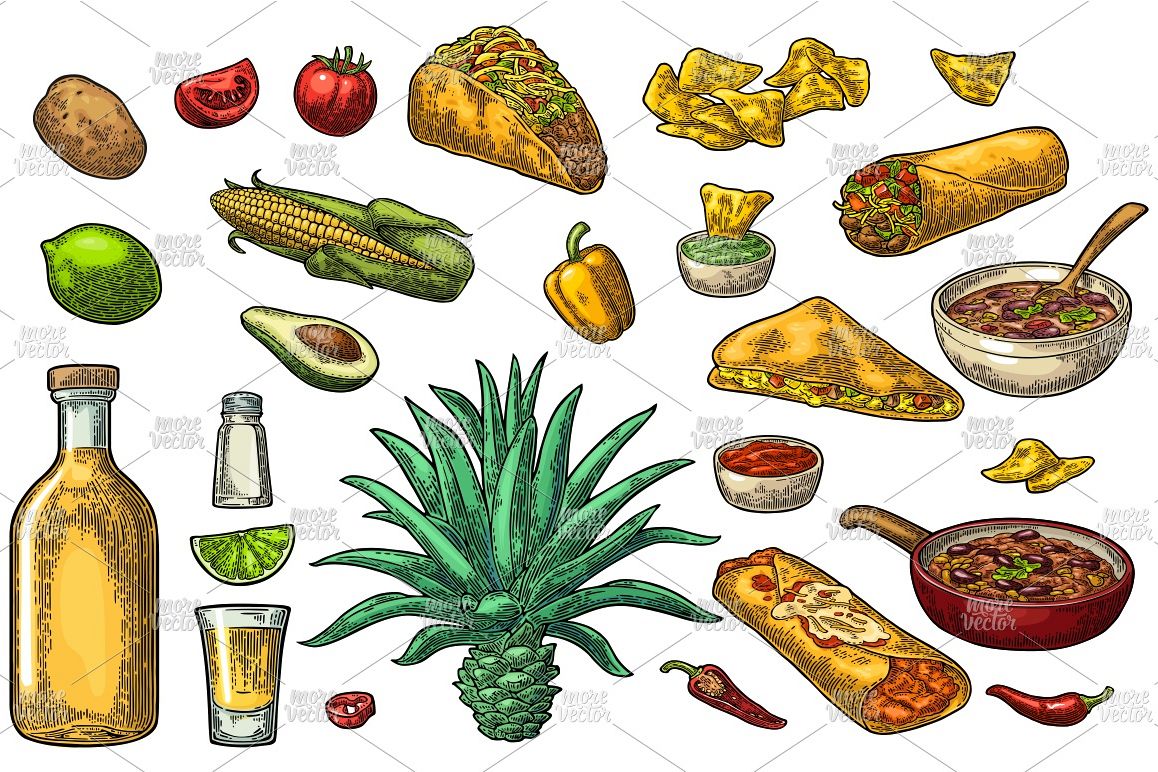 Mexican traditional food and drink set. Tequila engraving example image 1