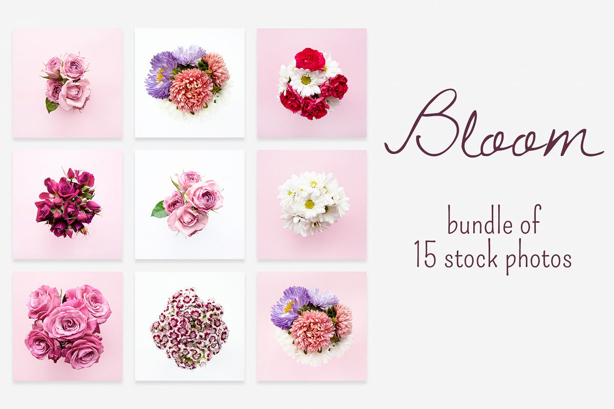 BLOOM photo bundle example image 1