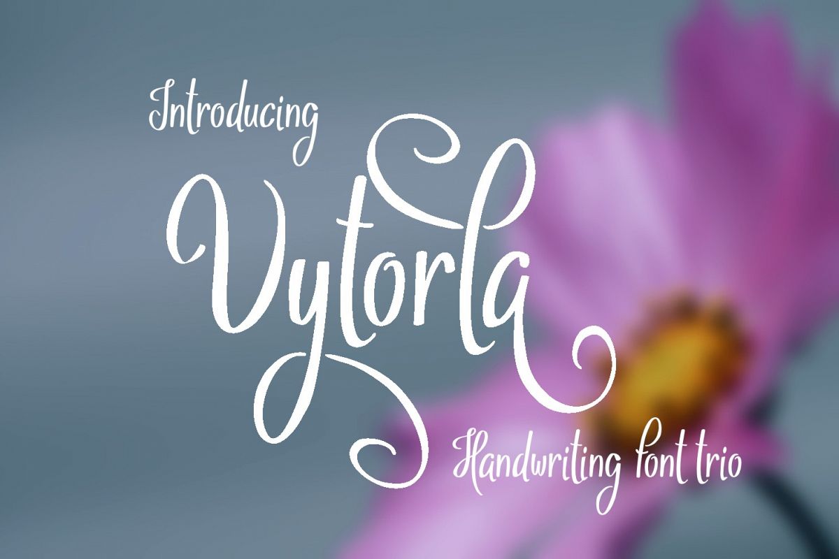 Vytorla Font Trio example image 1