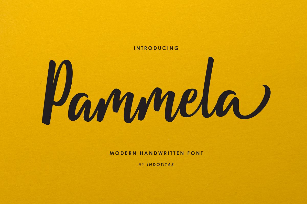 Pammela Script example image 1