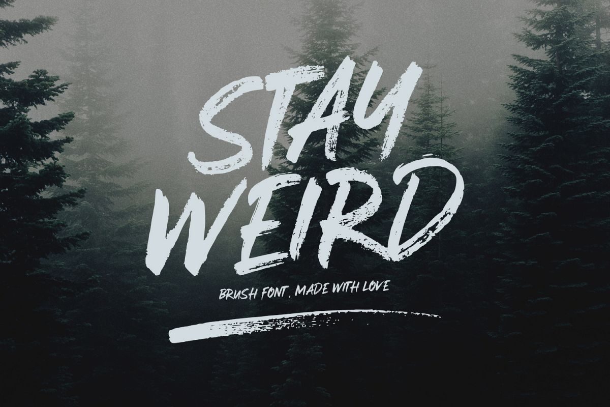 Stay Weird - Brush Font + Swashes example image 1