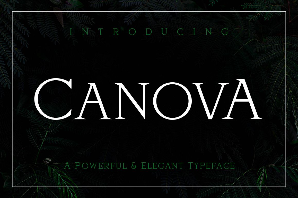 Canova example image 1