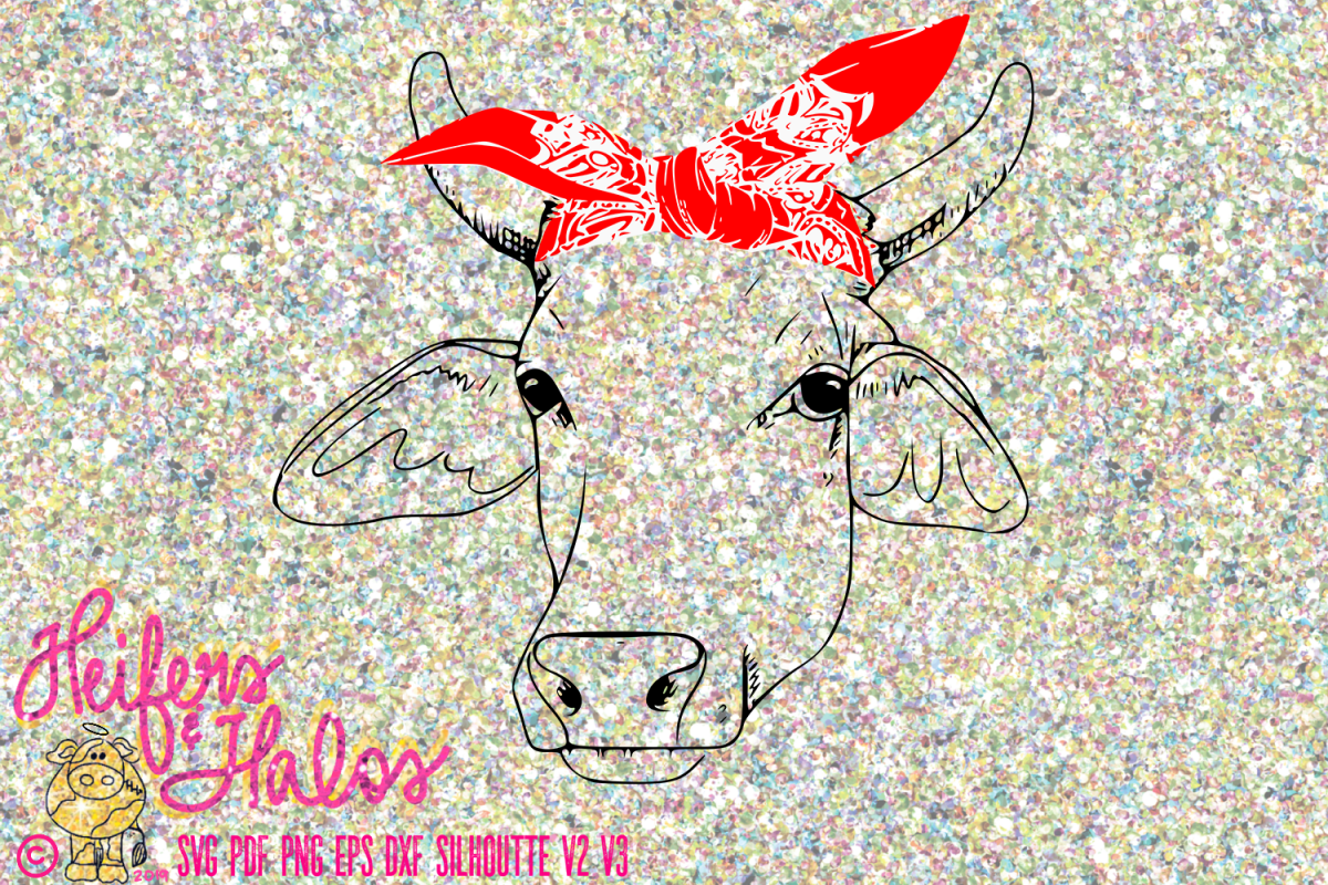Brahman Heifer Cow with Bandana example image 1