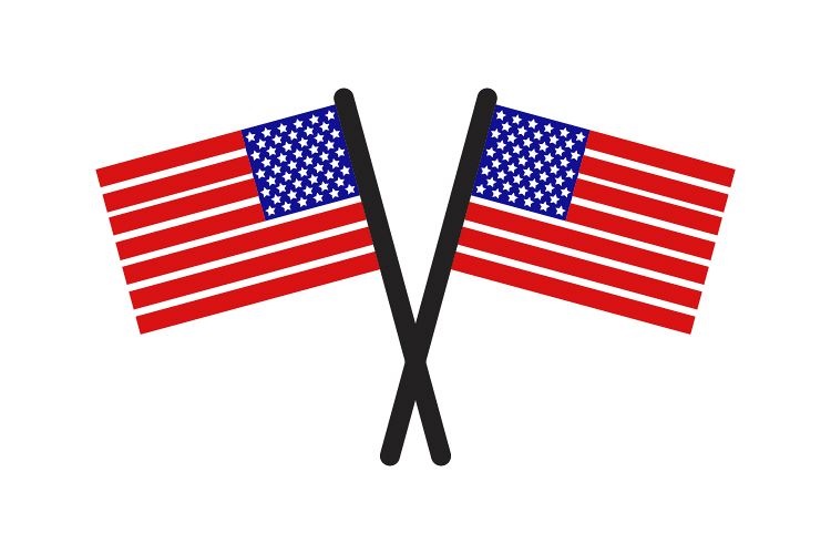 United States flag example image 1