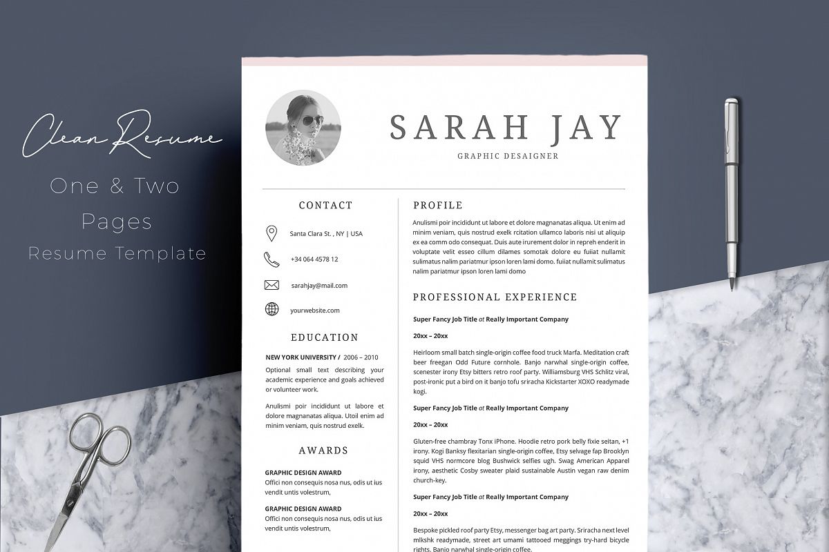 Professional Resume Template Desaign example image 1