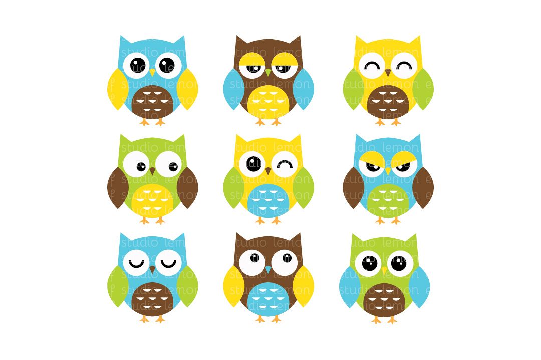 Expressive Owls-Digital Clipart (LES.CL02A) example image 1