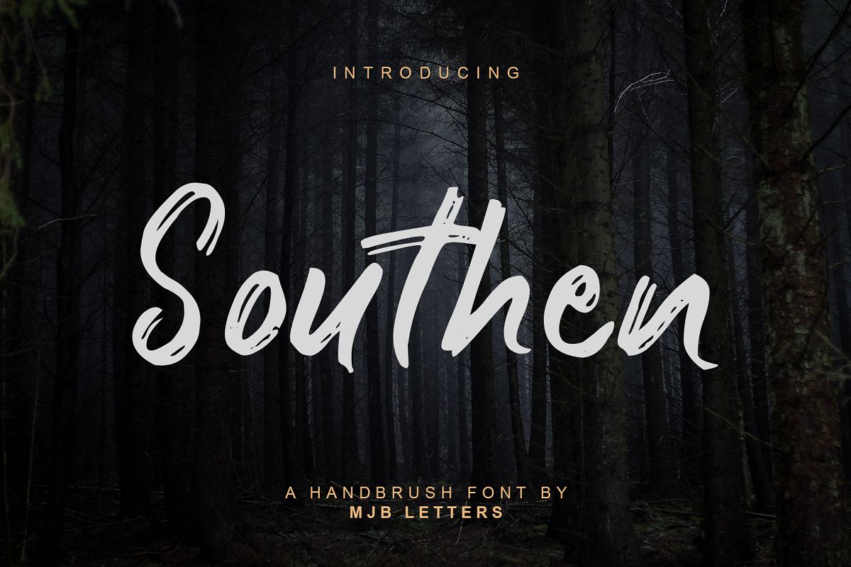 Southen Brush Font example image 1