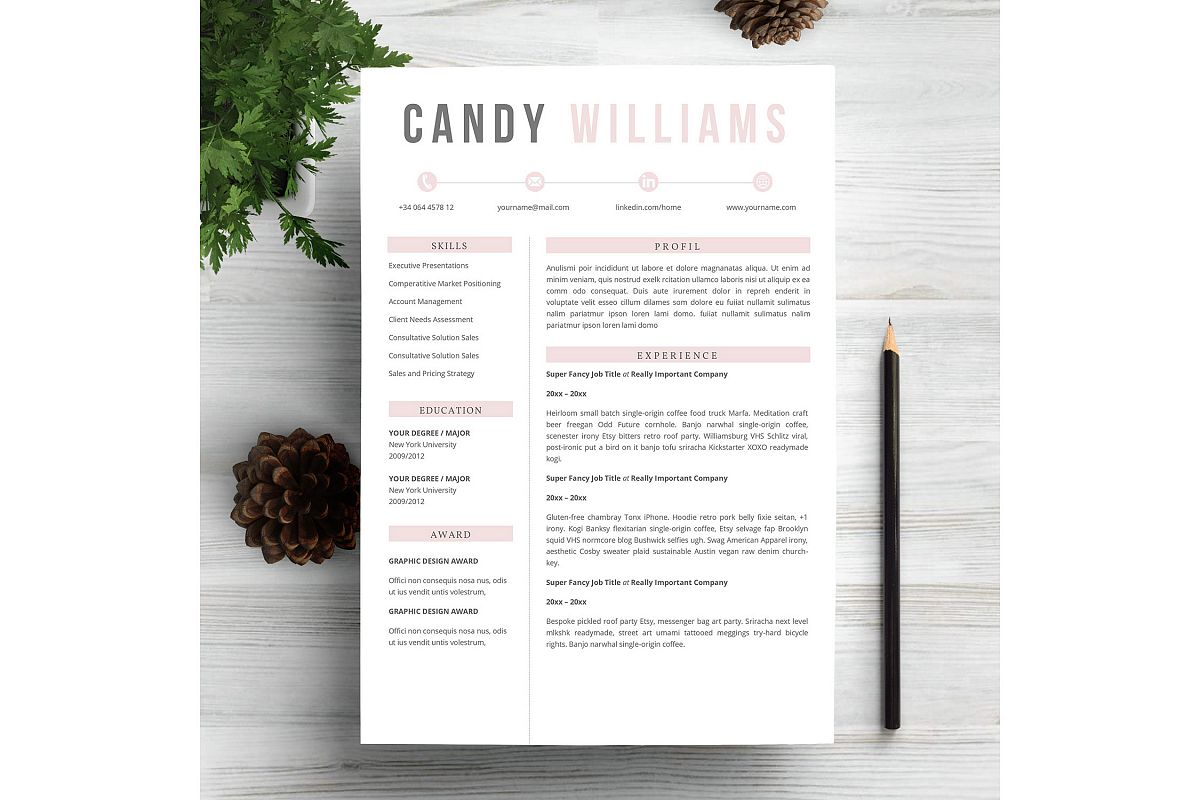 Creative Feminim Resume Template example image 1